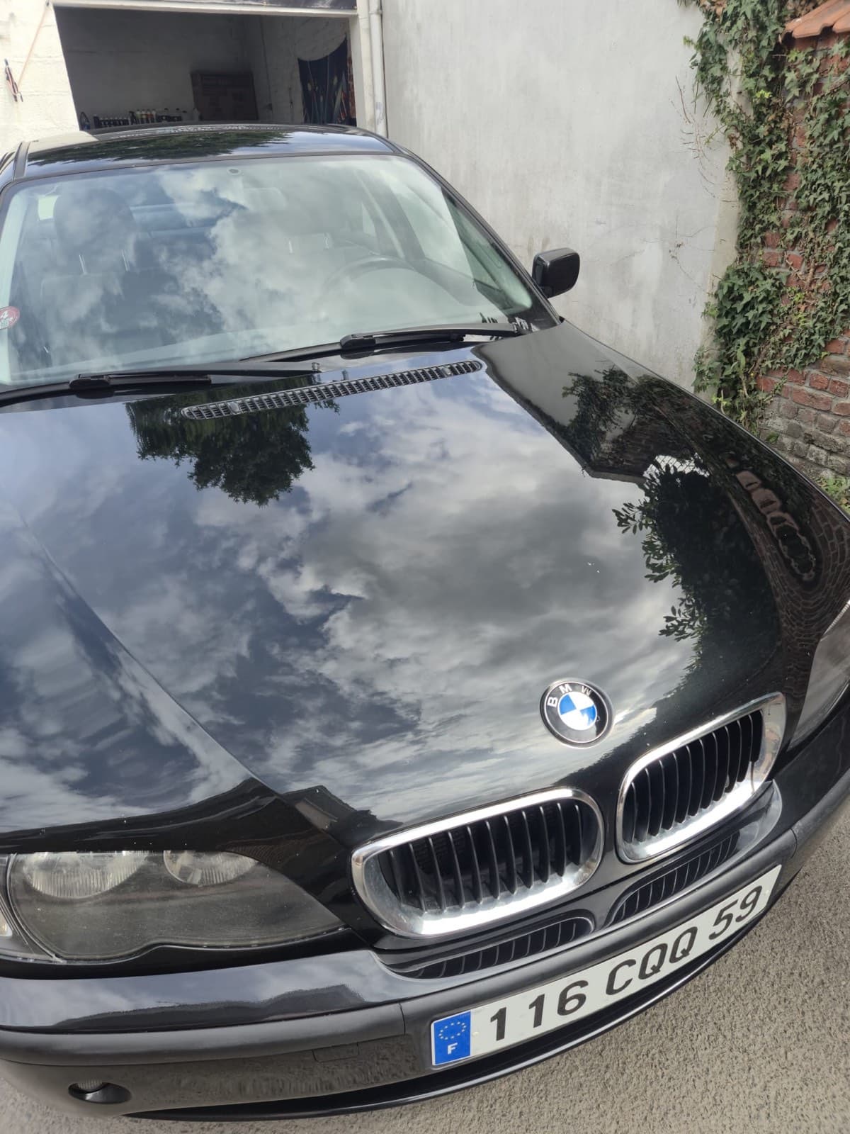 Après - Polissage capot BMW micro-rayures et pollen éliminés